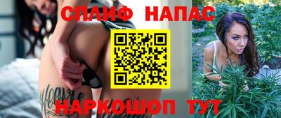 сатива Можайск