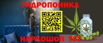 сатива Можайск